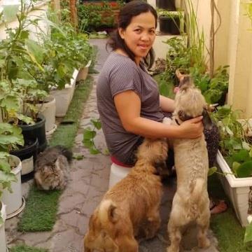 Newly pet mother dog boarding Abu Dhabi better than kennels and dog hotels
