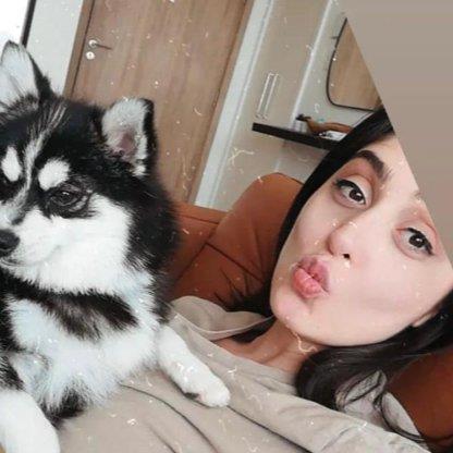 Pet Sitter Livi dog boarding Dubai your kennel and dog hotel alternative
