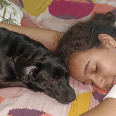 A dog lover and dog boarding Sharjah your kennel and dog hotel alternative