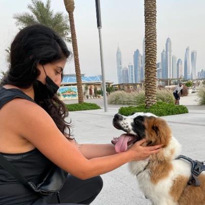 Will take care  dog boarding Dubai your kennel and dog hotel alternative
