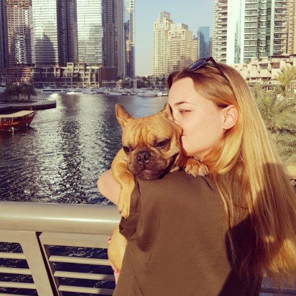 You best friend dog boarding Dubai your kennel and dog hotel alternative