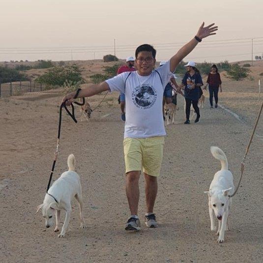 Dogs Best friend dog boarding Dubai better than kennels and dog hotels