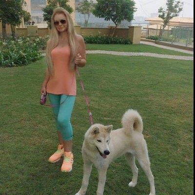 Trusted & Exper dog boarding Dubai your kennel and dog hotel alternative