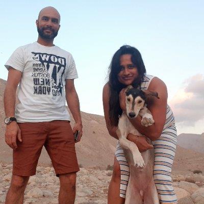 A pet photograp dog boarding Dubai your kennel and dog hotel alternative