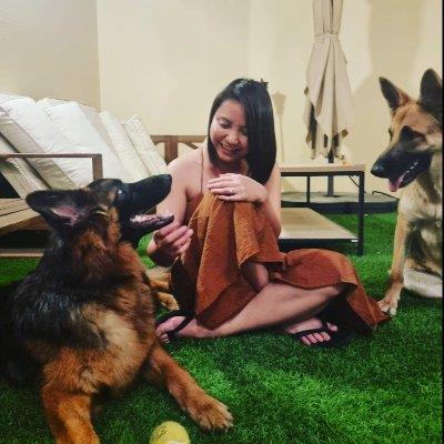 Dog lover with  dog boarding Ras Al Khaima your kennel and dog hotel alternative