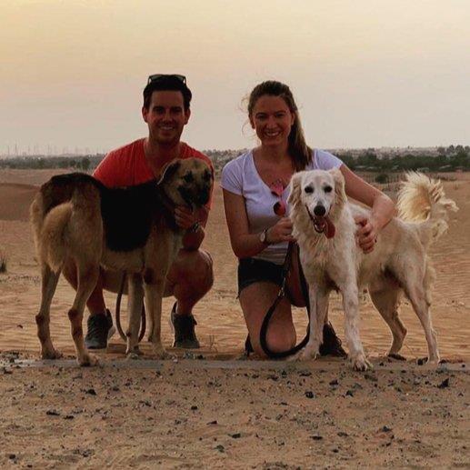 experienced par dog boarding Dubai your kennel and dog hotel alternative