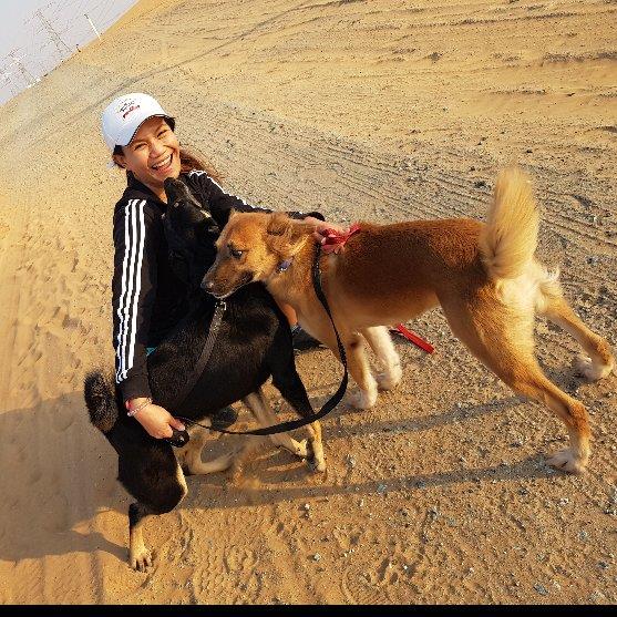 Passionate Dog Lover dog boarding Dubai better than kennels and dog hotels