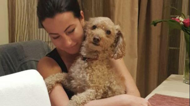 Nicoleta Dog boarding, Pet Boarding, Dog Walking and Pet Sitting.