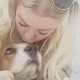 Siobhan Pet hotel experience in real homes! 2