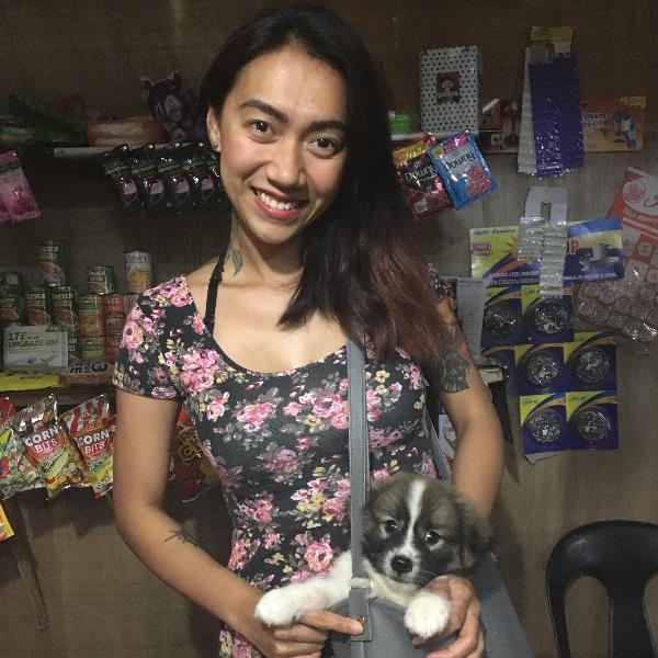 Marie Pet hotel experience in real homes! 2
