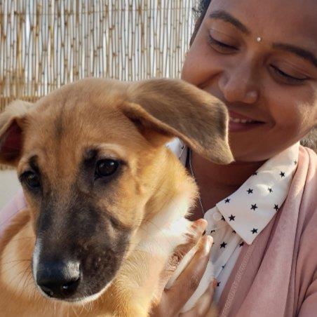 Sangeetha  Pet hotel experience in real homes! 2