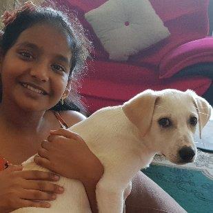 Sangeetha  Pet hotel experience in real homes! 5