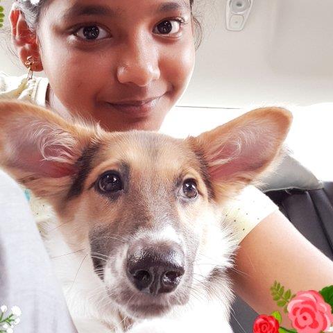 Sangeetha  Pet hotel experience in real homes! 21