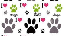Katie Dog boarding, Pet Boarding, Dog Walking and Pet Sitting.