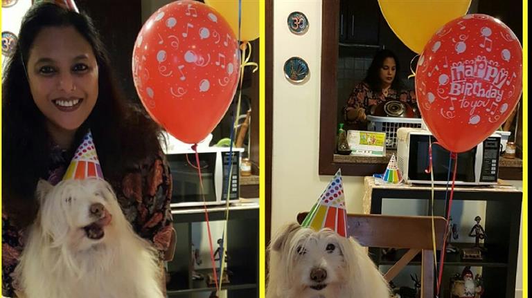 Shikha  Dog boarding, Pet Boarding, Dog Walking and Pet Sitting.