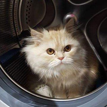 Nada Pet hotel experience in real homes! 2