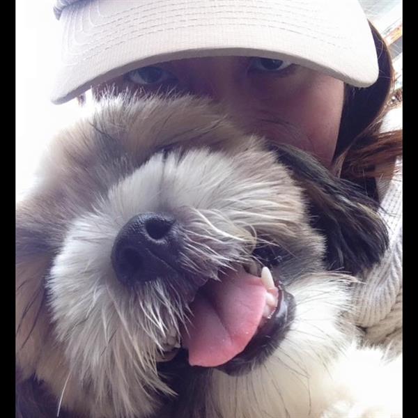 Katrina Pet hotel experience in real homes! 1