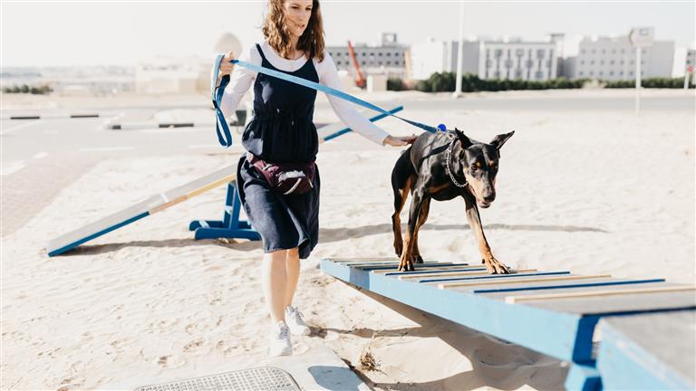 Kate Dog boarding, Pet Boarding, Dog Walking and Pet Sitting.