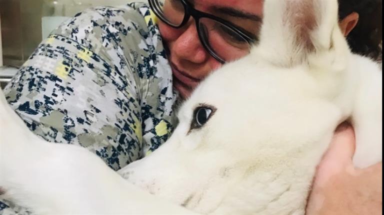 Chrisley Dog boarding, Pet Boarding, Dog Walking and Pet Sitting.