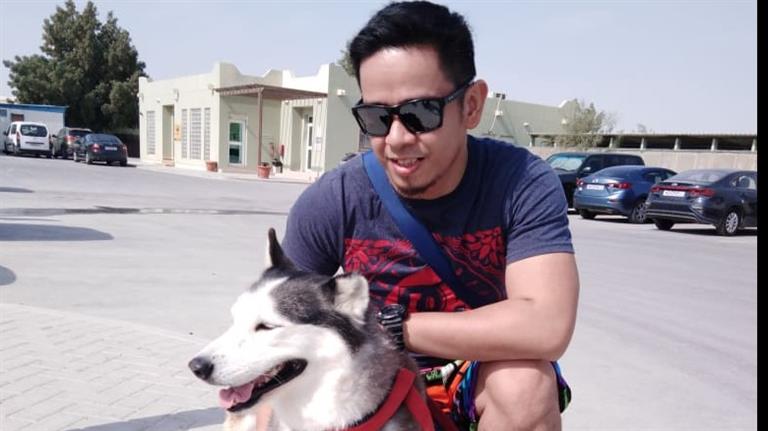 Paolo Dog boarding, Pet Boarding, Dog Walking and Pet Sitting.