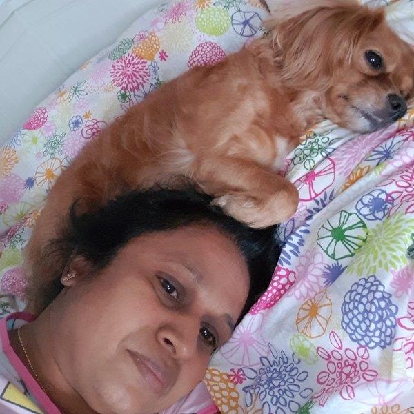 Udayangani Pet hotel experience in real homes! 9