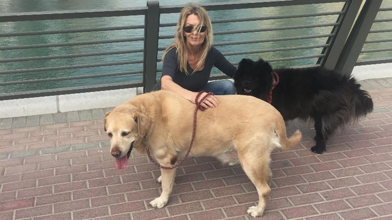 Linda Dog boarding, Pet Boarding, Dog Walking and Pet Sitting.