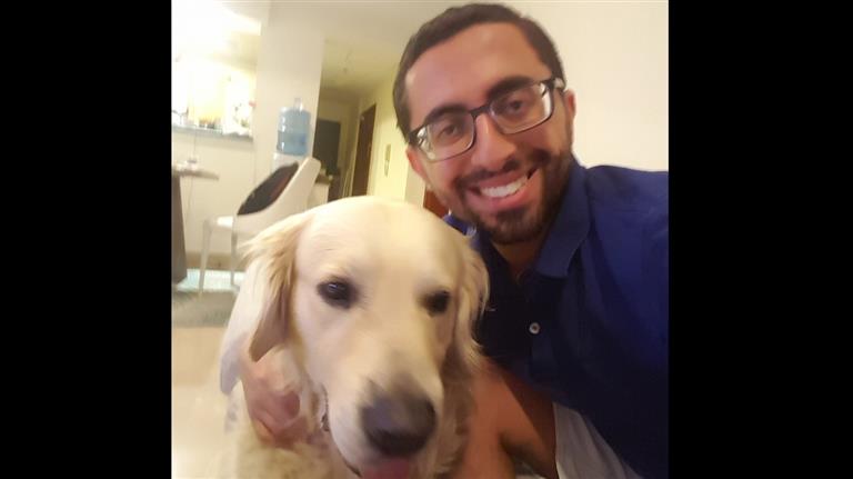 Amir Dog boarding, Pet Boarding, Dog Walking and Pet Sitting.