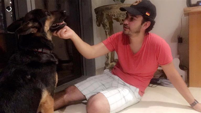 amir Dog boarding, Pet Boarding, Dog Walking and Pet Sitting.