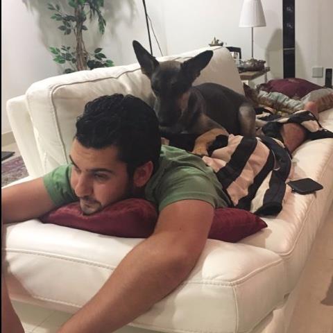amir Pet hotel experience in real homes! 2
