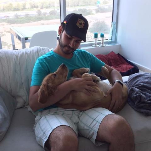 amir Pet hotel experience in real homes! 3