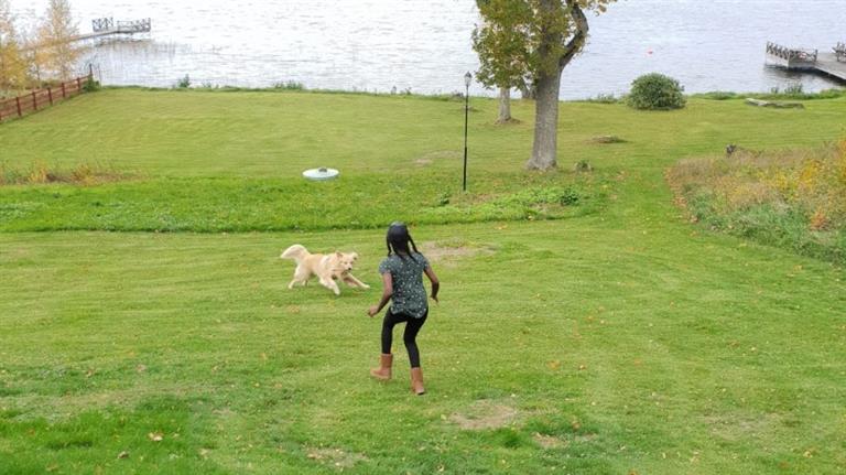 Patricia  Dog boarding, Pet Boarding, Dog Walking and Pet Sitting.