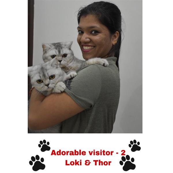 Shwetha Pet hotel experience in real homes! 5