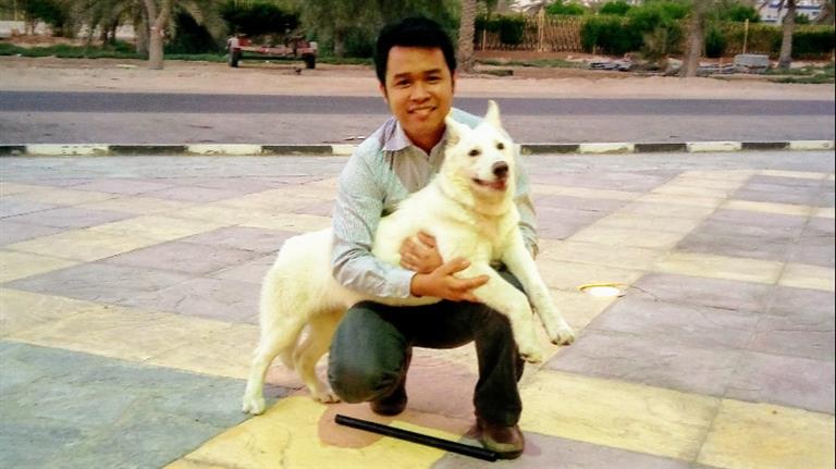Ken Dog boarding, Pet Boarding, Dog Walking and Pet Sitting.