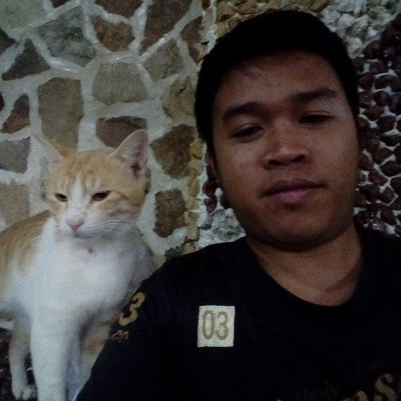 Ken Pet hotel experience in real homes! 1