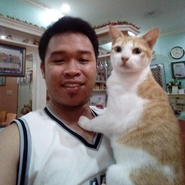 Ken Pet hotel experience in real homes! 2