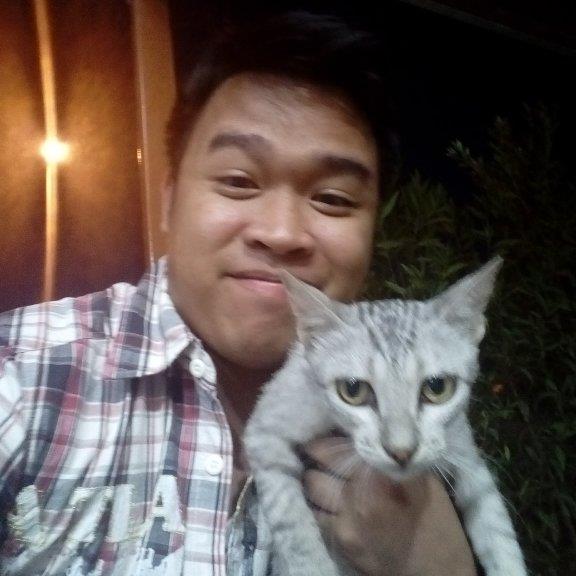 Ken Pet hotel experience in real homes! 5