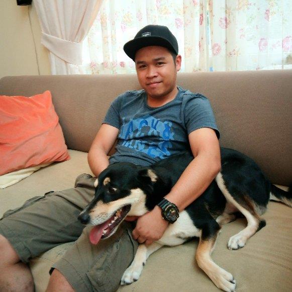 Ken Pet hotel experience in real homes! 11