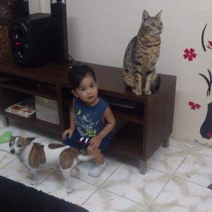 Karen  Pet hotel experience in real homes! 2