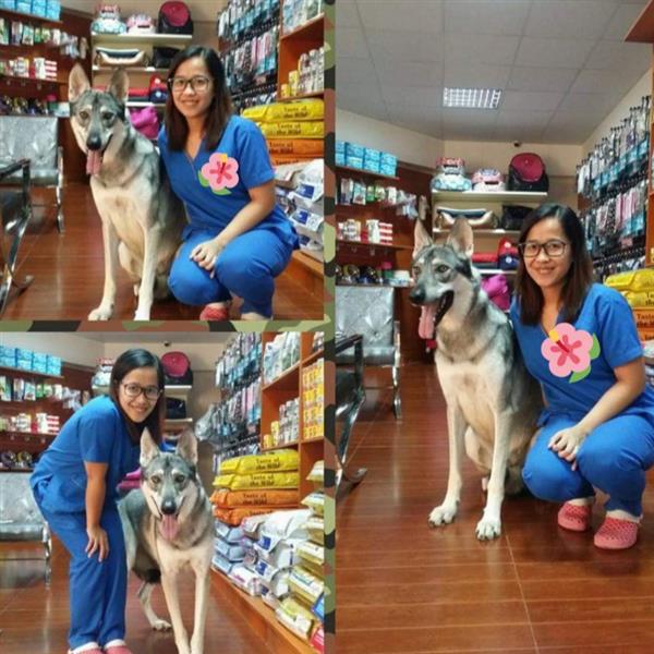 Karen  Pet hotel experience in real homes! 3