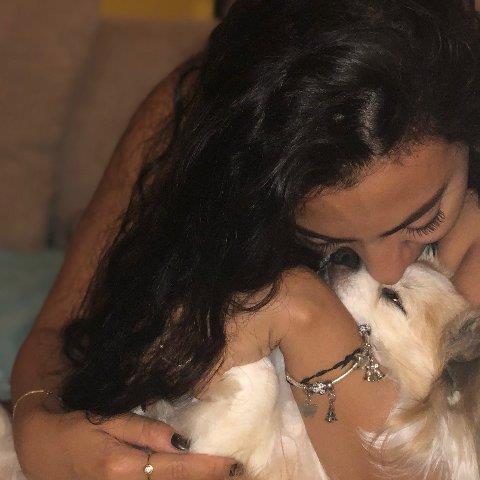 Rihane Pet hotel experience in real homes! 2