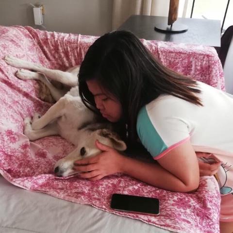 Erika Ashley Pet hotel experience in real homes! 3