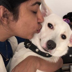 Pratheeksha Pet hotel experience in real homes! 4