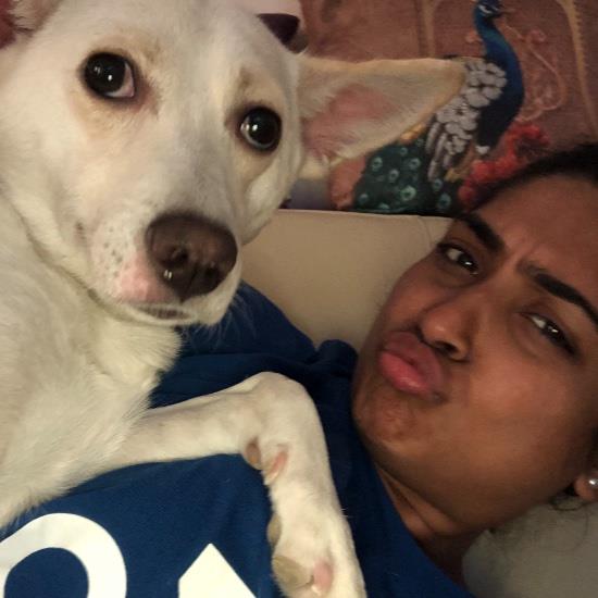 Pratheeksha Pet hotel experience in real homes! 6