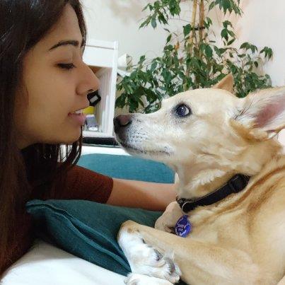 Ashwini Pet hotel experience in real homes! 1