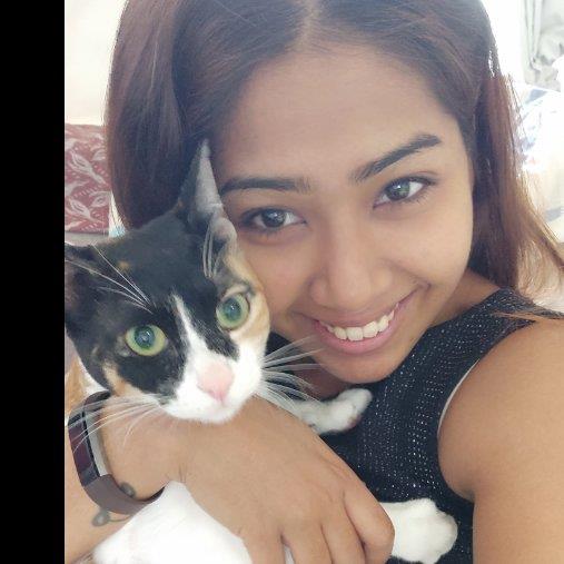 Ashwini Pet hotel experience in real homes! 4