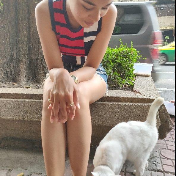 Ashwini Pet hotel experience in real homes! 1