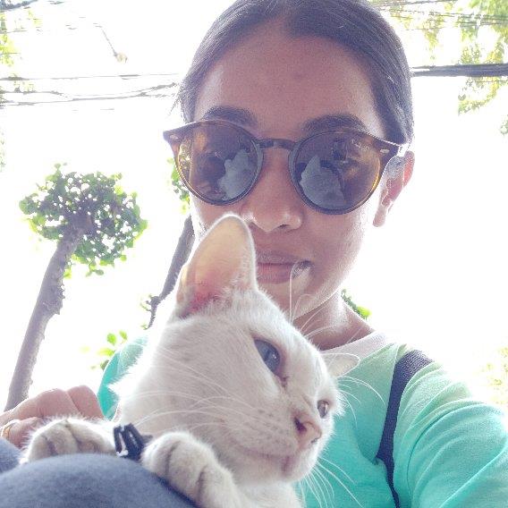 Ashwini Pet hotel experience in real homes! 2