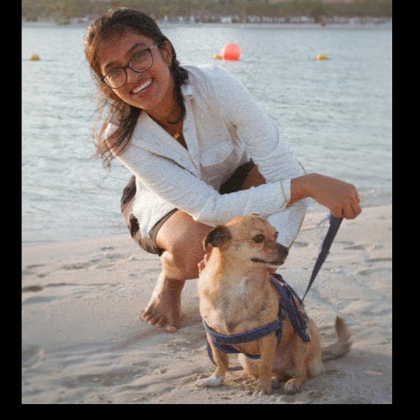 Anoushka  Pet hotel experience in real homes! 3