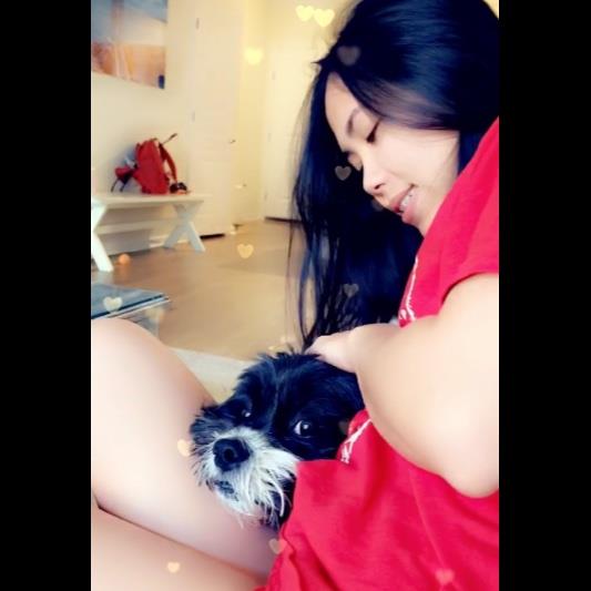 Regina Pet hotel experience in real homes! 1