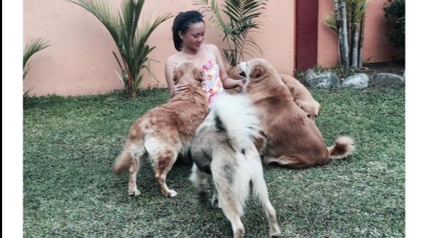 Fhey Dog boarding, Pet Boarding, Dog Walking and Pet Sitting.